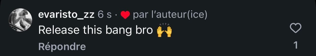 Commentaire : « Release this bang bro »
